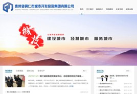 仁布城市开发投资集团有限公司