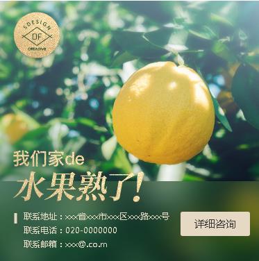 仁布果园果林小程序开发